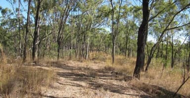 Property Lot 96 Booroo Road, O'CONNELL QLD 4680 IMAGE 0