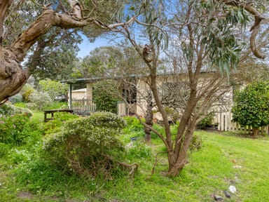 Property 37 Banksia Ave, SANDY POINT VIC 3959 IMAGE 0