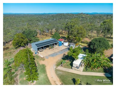 Property 260 Fourteen Mile Road, THE CAVES QLD 4702 IMAGE 0