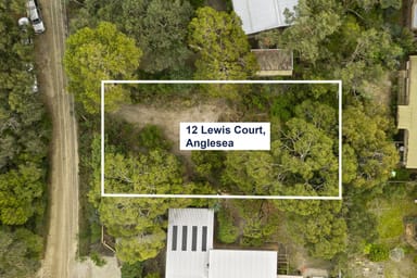 Property 12 Lewis Court, Anglesea VIC 3230 IMAGE 0