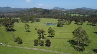 Property 386 Toms Gully Rd, Hickeys Creek NSW 2440 IMAGE 0