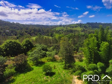 Property D4, 1158 Pinchin Road, THE CHANNON NSW 2480 IMAGE 0