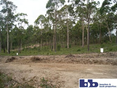 Property 336, Stage 3 Bay Ridge Estate, NORTH BATEMANS BAY NSW 2536 IMAGE 0