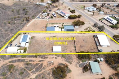 Property 4 Bluebush Court, Cowell SA 5602 IMAGE 0