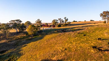 Property 3264 Middle Arm Road, Roslyn/, CROOKWELL NSW 2583 IMAGE 0
