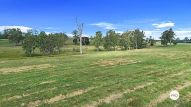 Property 930 River Road, TINANA QLD 4650 IMAGE 0