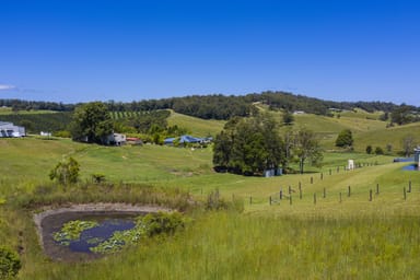 Property Lot 8 Peppertree Grove, Talarm NSW 2447 IMAGE 0