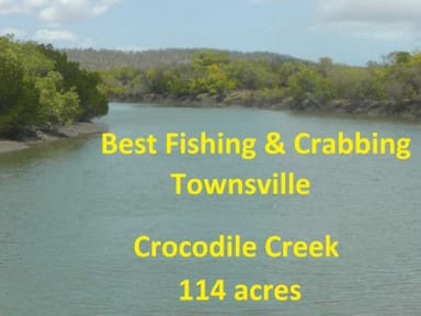 Property 239 Crocodile Creek Road, Cape Cleveland QLD 4810 IMAGE 0