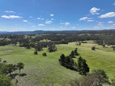 Property 409 Mount Lindesay Road, Tenterfield NSW 2372 IMAGE 0