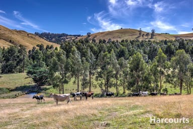 Property 136 O'Tooles Road, WILD DOG VALLEY VIC 3953 IMAGE 0
