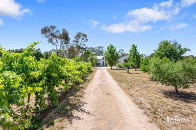 Property 100 Dunolly-Moliagul Road, Dunolly VIC 3472 IMAGE 0