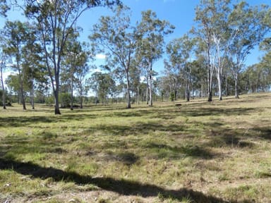 Property Lot 19 Websters Road, EULEILAH QLD 4674 IMAGE 0