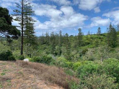 Property 135d2 Red Road, Norfolk Island NSW 2899 IMAGE 0
