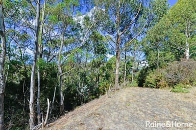 Property 39 Woodcutters Road, TOLMANS HILL TAS 7007 IMAGE 0