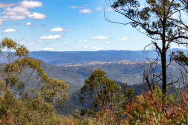 Property 'Wilds' Enfield Range Road, CELLS RIVER NSW 2424 IMAGE 0