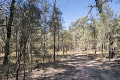 Property L42 BNT783 Mosquito Creek Rd, CANNING CREEK QLD 4357 IMAGE 0