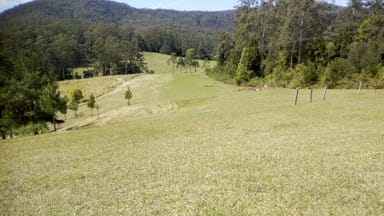 Property 149 The Old Coach Road, Batar Creek NSW 2439 IMAGE 0