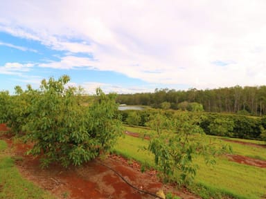 Property LOT 1,3,4 &5 Butchers Road, SOUTH ISIS QLD 4660 IMAGE 0