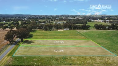 Property Lot 245 & 246 Manganese Road, GRENFELL NSW 2810 IMAGE 0