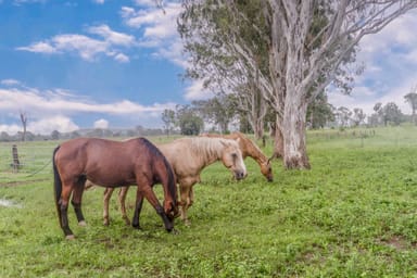 Property 185 Hall Rd, Woodhill QLD 4285 IMAGE 0