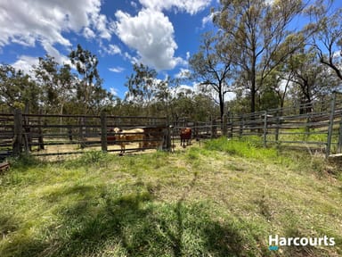 Property 2364 Gin Gin Mount Perry Road, NEW MOONTA QLD 4671 IMAGE 0
