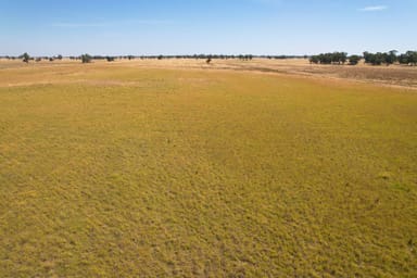 Property 1111 Newell Highway, WYALONG NSW 2671 IMAGE 0