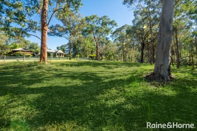 Property 201 Mahons Creek Road, YARRAMUNDI NSW 2753 IMAGE 0