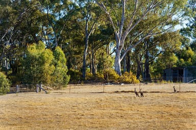 Property 256 Blakeley Road, CASTLEMAINE VIC 3450 IMAGE 0