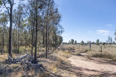 Property L42 BNT783 Mosquito Creek Rd, CANNING CREEK QLD 4357 IMAGE 0