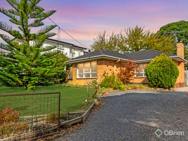 Property 16 Jolimont Road, Forest Hill VIC 3131 IMAGE 0
