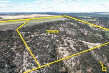 Property Section 201, 368, 36 Schwertie Road, Black Hill SA 5353 IMAGE 0