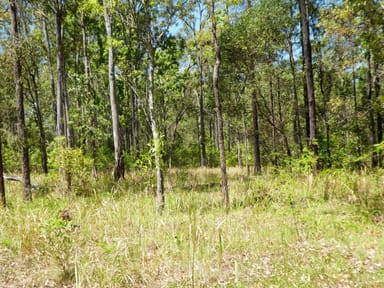 Property 78,79, 400 Phillips Swamp Road, Busbys Flat NSW 2469 IMAGE 0