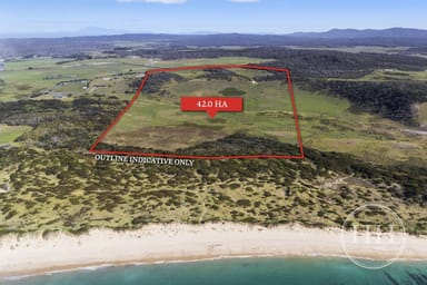 Property 1153 Soldiers Settlement Road, BEECHFORD TAS 7252 IMAGE 0