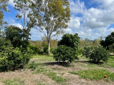 Property 105 Stowe Road, CALLIOPE QLD 4680 IMAGE 0