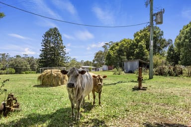 Property 6 Monak Rd, North Arm QLD 4561 IMAGE 0