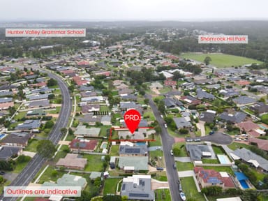 Property 9 Monaghan Circuit, ASHTONFIELD NSW 2323 IMAGE 0