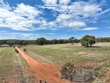 Property 394 QUAKER TOMMY Road, COONABARABRAN NSW 2357 IMAGE 0