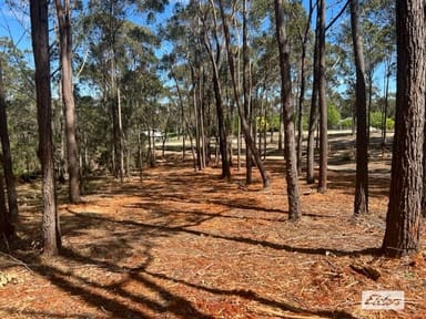 Property Lot B Bournda Park Way, Wallagoot NSW 2550 IMAGE 0
