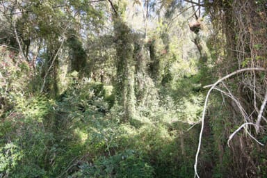 Property Lot 15 St Albans Road, Wisemans Ferry NSW 2775 IMAGE 0