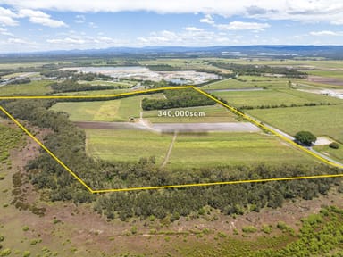 Property 1587 Stapylton - Jacobs Well Road, JACOBS WELL QLD 4208 IMAGE 0