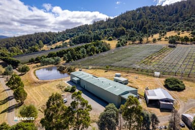Property 230 Clear View Road, CRABTREE TAS 7109 IMAGE 0