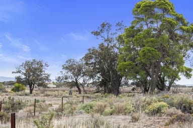 Property Section 2 Multi Allotments, PORT WAKEFIELD SA 5550 IMAGE 0