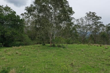 Property Lot, 1 Oxley Highway, LONG FLAT NSW 2446 IMAGE 0