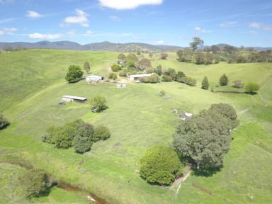 Property 1834 Myrtle Mountain Road, CANDELO NSW 2550 IMAGE 0