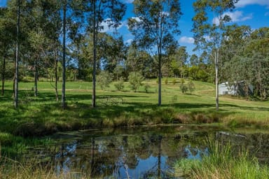 Property 1099 Allyn River Road, East Gresford NSW 2311 IMAGE 0