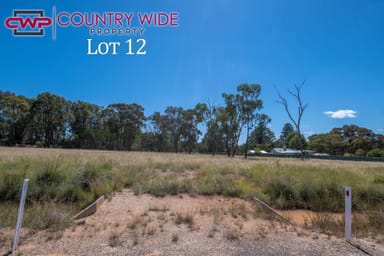 Property 12, Marshall Way, EMMAVILLE NSW 2371 IMAGE 0