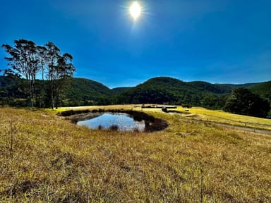 Property Lot 6 Paynes Crossing Rd, Paynes Crossing NSW 2325 IMAGE 0