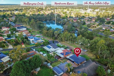 Property 12 Darnay Pl, AMBARVALE NSW 2560 IMAGE 0