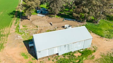 Property 'Part Glenmoira', 524 Munyaplah Settlement Rd, Alma Park NSW 2659 IMAGE 0