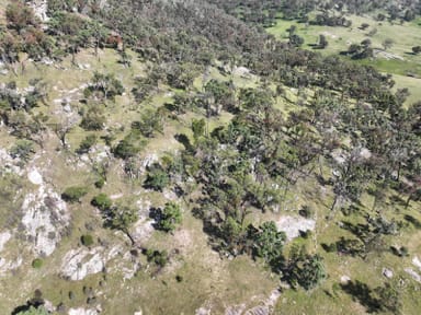 Property lot 3, 7553 New England Highway, Tenterfield NSW 2372 IMAGE 0